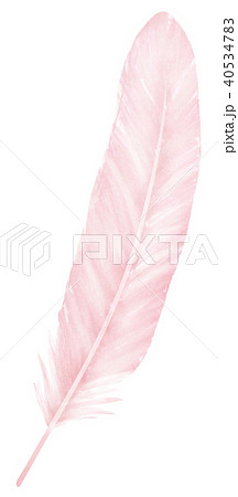 手描き 鳥の羽根 ピンクのイラスト素材 40534783 Pixta