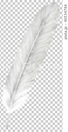 手繪鳥的羽毛銀 手繪鳥的羽毛銀 40534784