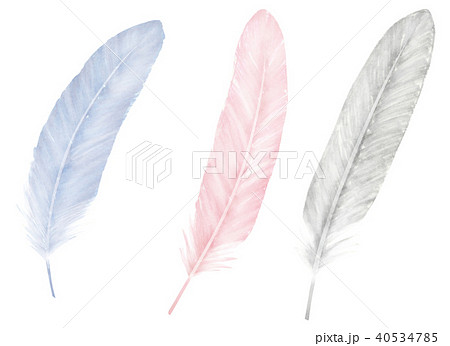 手描き 鳥の羽根 ブルー ピンク シルバーのイラスト素材 40534785