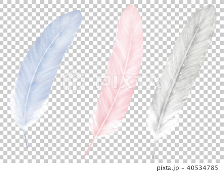 手描き 鳥の羽根 ブルー ピンク シルバーのイラスト素材