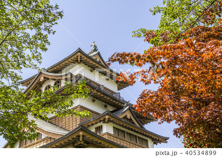 長野県　諏訪市　高島城 40534899