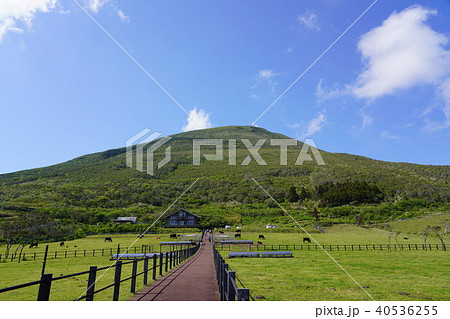 八丈島 島 自然 屋外 離島 伊豆諸島 風景 リゾート 田舎 少子化 観光 旅行 ふれあい牧場 牧場 八丈島 島 自然 屋外 離島 伊豆諸島 風景 リゾート 田舎 少子化 観光 旅行 ふれあい牧場 牧場 40536255