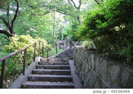 公園の階段 公園の階段 40536469