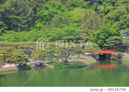 新緑の栗林公園 40536799