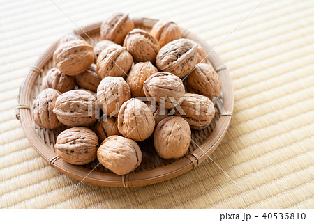 くるみ　シナノグルミ 40536810