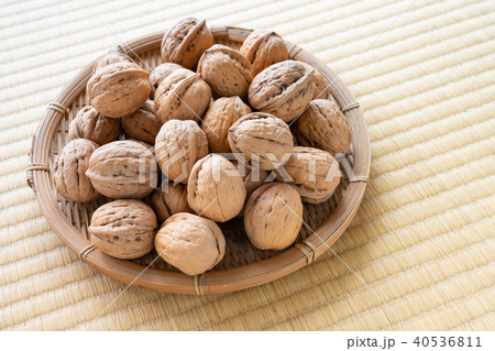 くるみ　シナノグルミ 40536811