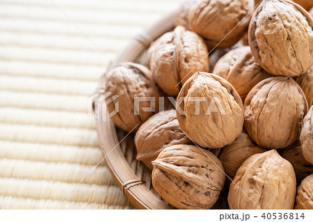 くるみ　シナノグルミ 40536814
