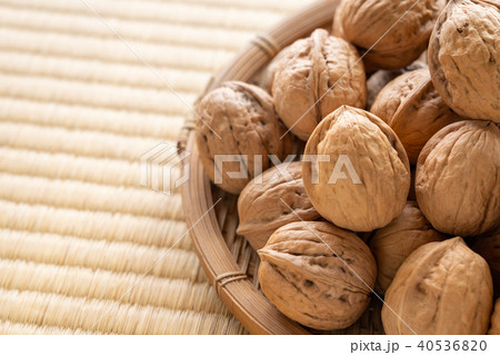 くるみ　シナノグルミ 40536820