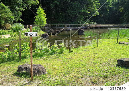 北薩広域公園 亀の池 北薩広域公園 亀の池 40537689
