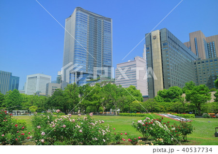 東京ミッドタウン日比谷と日比谷公園 40537734