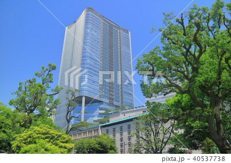 新緑と東京ミッドタウン日比谷 40537738