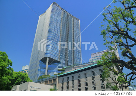 新緑と東京ミッドタウン日比谷 新緑と東京ミッドタウン日比谷 40537739