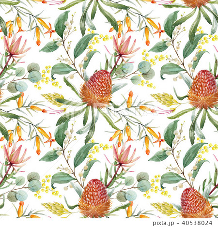 Watercolor australian banksia floral pattern 40538024