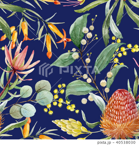 Watercolor australian banksia floral pattern 40538030