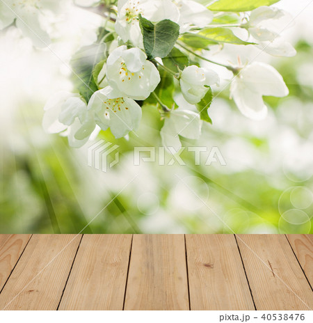 Spring Flowers and Green Leaves 40538476