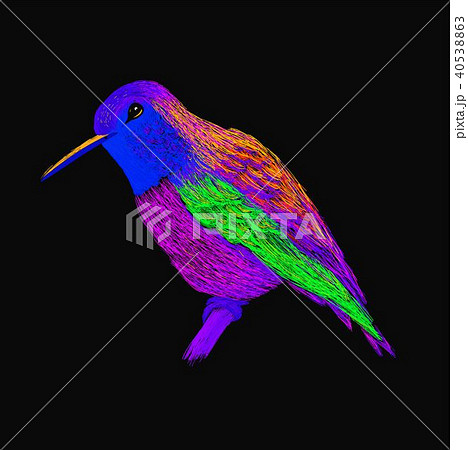 Hummingbird with colorful glossy plumage. Modern 40538863