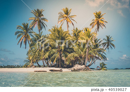 tropical island - palm tree, beach and ocean 40539027