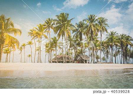 beach , palm trees  blue sky vacation background 40539028