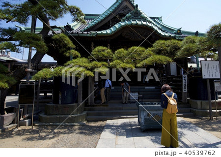 柴又帝釈天の帝釈堂 40539762