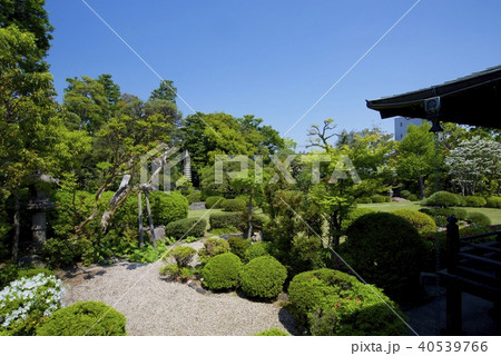 柴又帝釈天の邃渓園 40539766