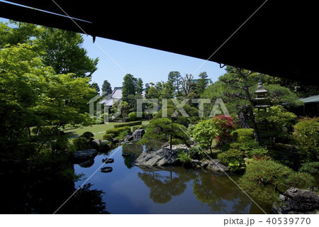 柴又帝釈天の邃渓園 40539770