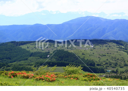 高原 高原 40540735