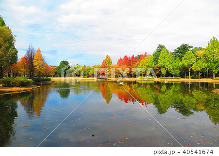 秋の池のある公園の風景11 40541674