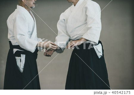 Aikido 40542175