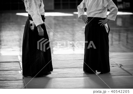 Aikido 40542205