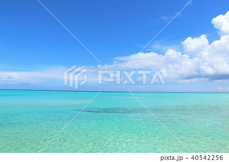 沖縄 宮古島の青空と青い海 沖縄 宮古島の青空と青い海 40542256