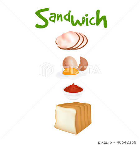 Ingredients for burger and sandwich Vector 40542359