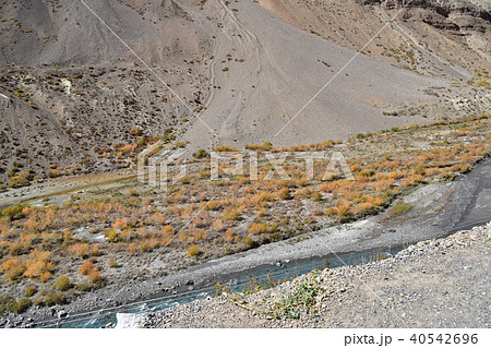スピティ谷の絶景　タボ村からカザまでの景色　美しい山と川 40542696
