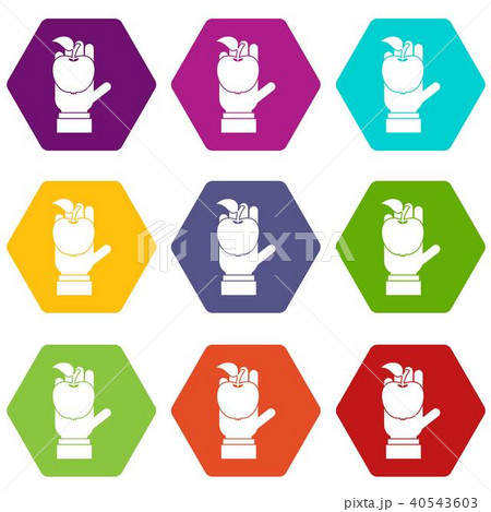 Apple in hand icon set color hexahedron Apple in hand icon set color hexahedron 40543603