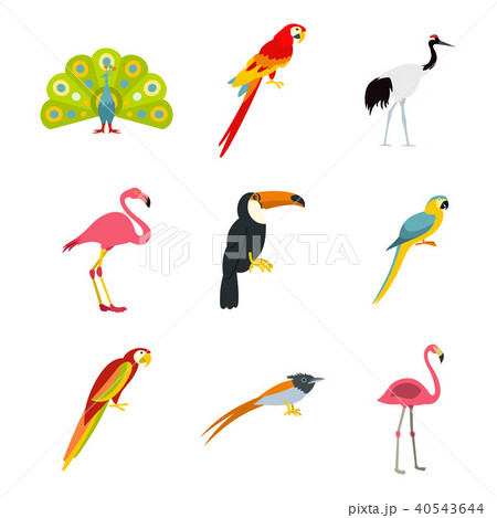 Exotic birds icon set, flat style Exotic birds icon set, flat style 40543644