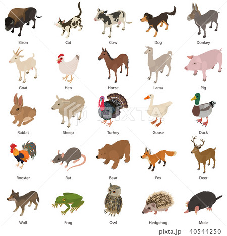 Animals collection icons set, isometric style 40544250