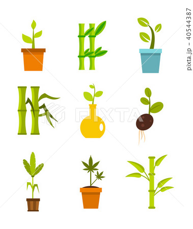 Plant icon set, flat style Plant icon set, flat style 40544387