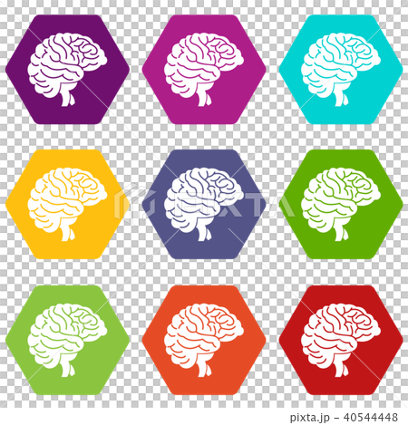 Brain icon set color hexahedron Brain icon set color hexahedron 40544448