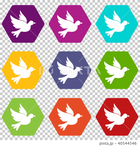 Dove icon set color hexahedron Dove icon set color hexahedron 40544546