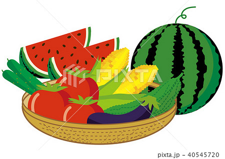 夏のイメージのイラスト 食べ物のイラスト ザルに入った夏野菜 西瓜 トウモロコシ ベクターデータのイラスト素材