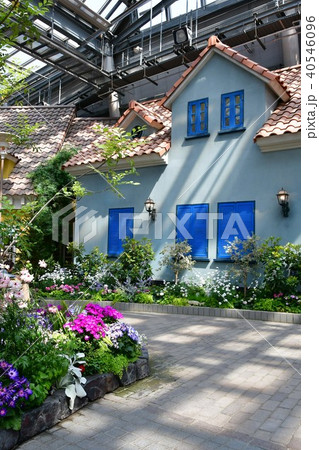 花時計　花園　花畑 40546096