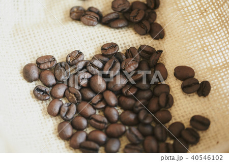 コーヒー 豆 粉 ミル カフェ コーヒー 豆 粉 ミル カフェ 40546102
