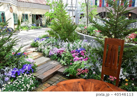 花時計 花園 花畑 花時計 花園 花畑 40546113