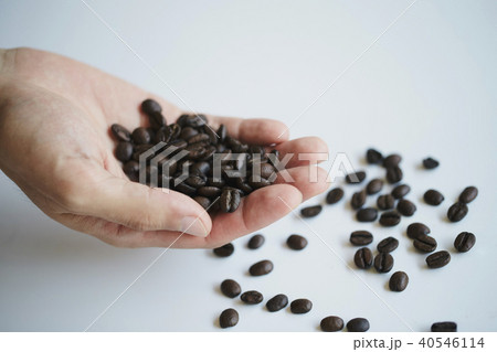 コーヒー 豆 粉 ミル カフェ コーヒー 豆 粉 ミル カフェ 40546114