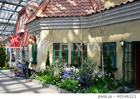 花時計 花園 花畑 花時計 花園 花畑 40546121