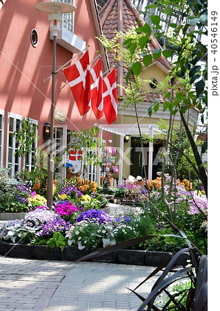 花時計　花園　花畑 40546149