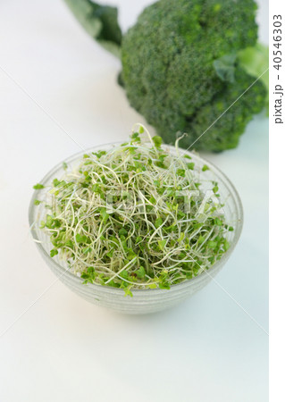 スプラウト 40546303