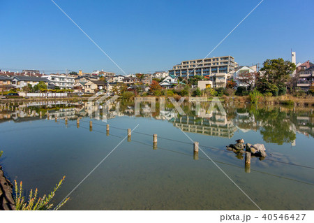 小池公園 40546427