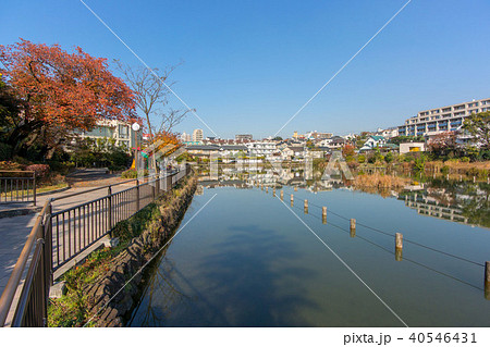 東京都大田区、小池公園 40546431