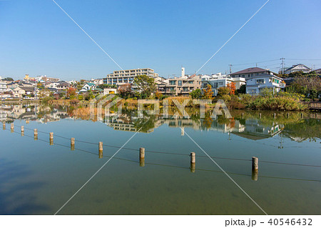 小池公園 40546432