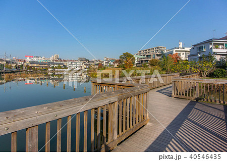 東京都大田区上池台の小池公園 東京都大田区上池台の小池公園 40546435